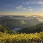 Waldoase Titisee-Neustadt