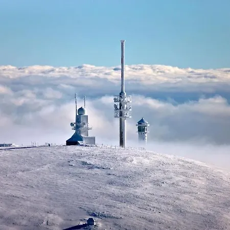 Lägenhet Waldoase *