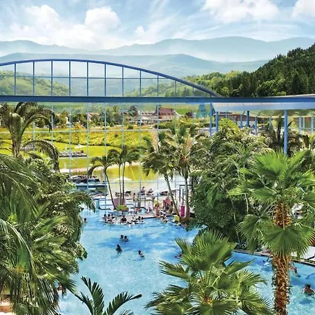 Waldoase Titisee-Neustadt