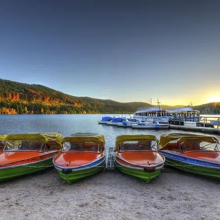 Waldoase Titisee-Neustadt