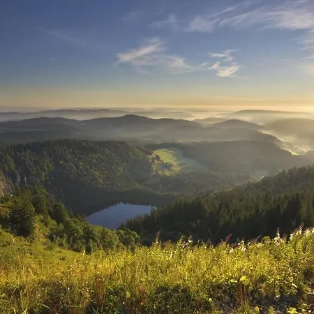 Waldoase Titisee-Neustadt
