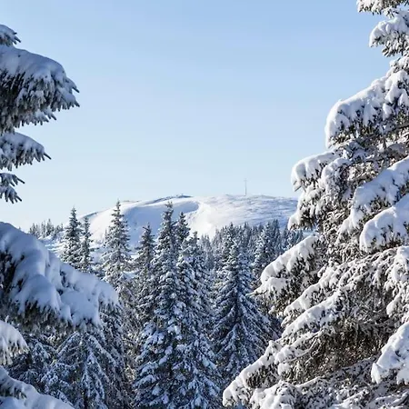 Waldoase Lägenhet *