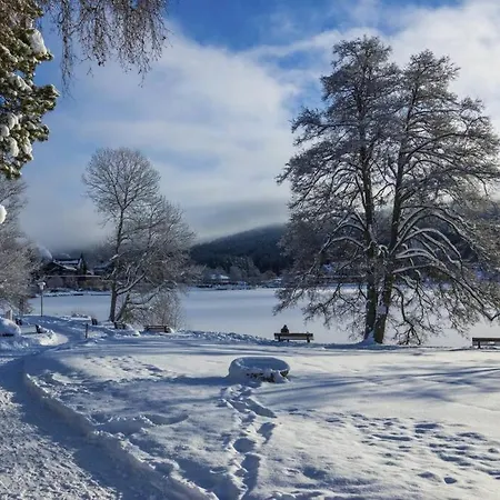 Waldoase Titisee-Neustadt