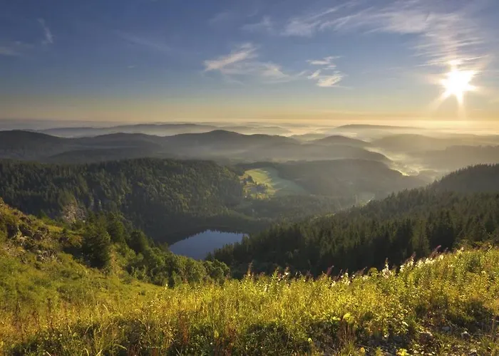 Waldoase Титизее-Нойштадт